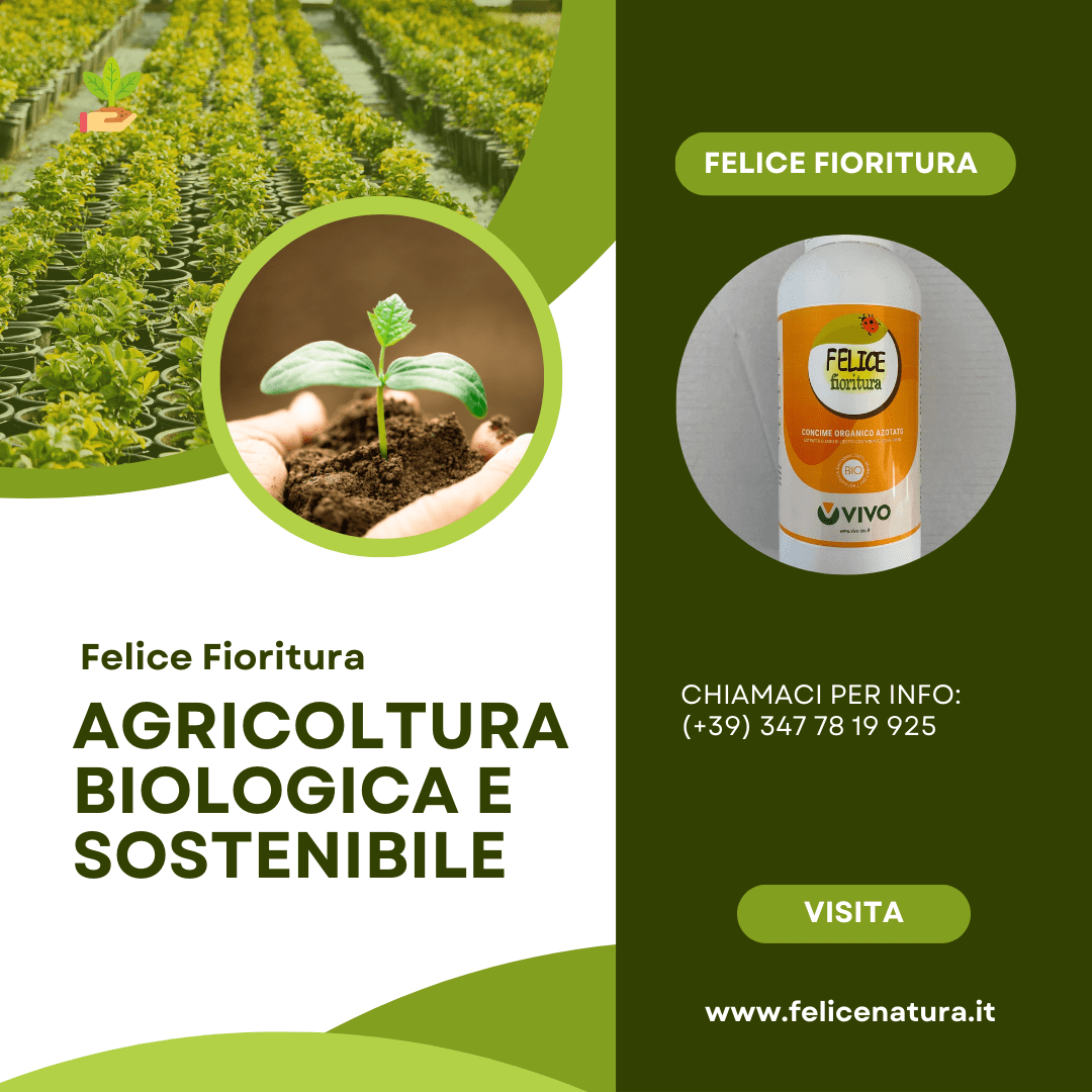 Perché scegliere l'agricoltura biologica: Benefici per la salute e per l'ambiente