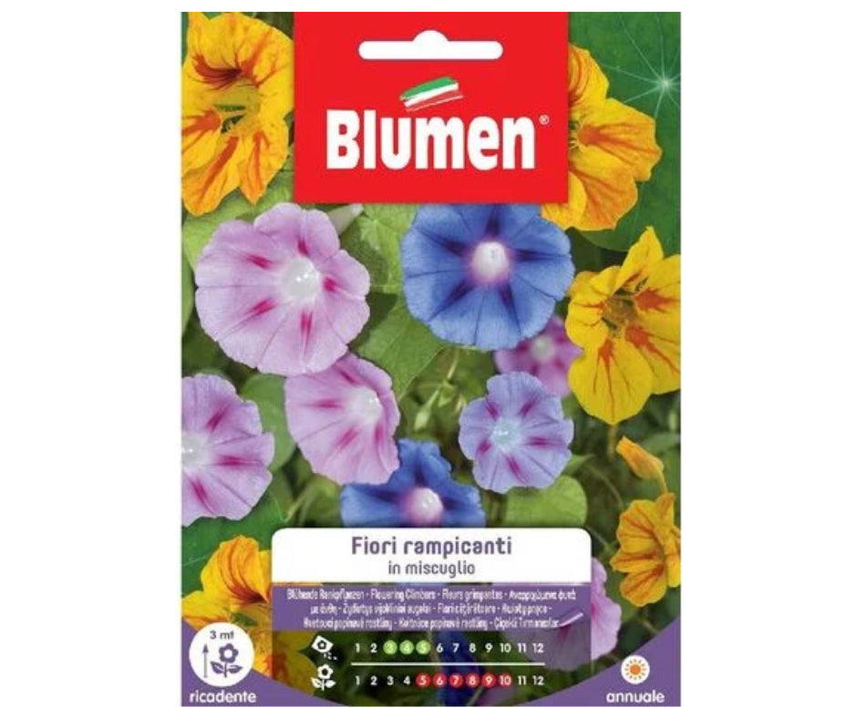 Semi Fiori rampicanti in miscuglio Blumen – Felice Natura
