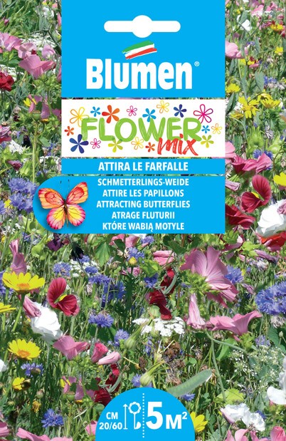 Set Semi Piante Per Farfalle | 5 Varietà Ricche Di Nettare | Giardino Fiorito E Biodiversità - Foto 9