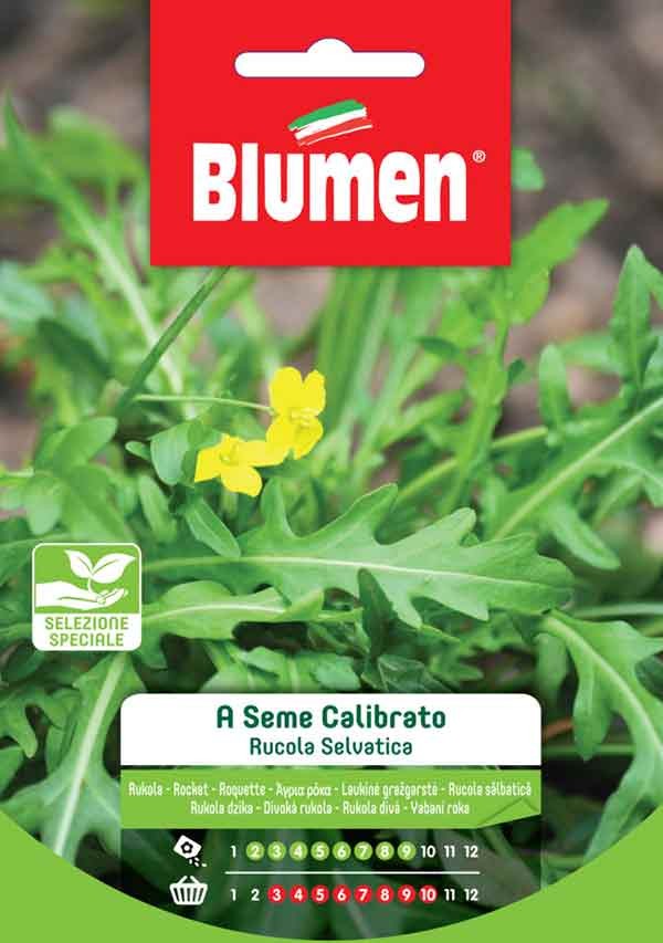 Blumen - Semi - Rucola - Selvatica - A- Seme - Calibrato - Busta – Felice  Natura