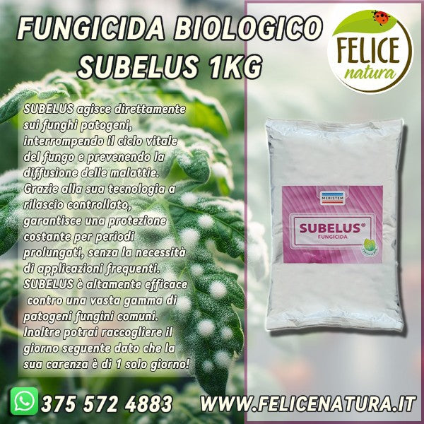 SUBELUS Fungicida BIO a Carenza Zero: La Soluzione Efficace per la Protezione delle Colture!