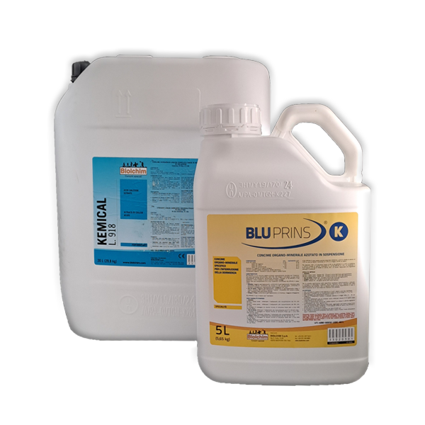 Bluprins K 5 LT + Kemical L 918 20 LT Biolchim Interruttore di dormienza