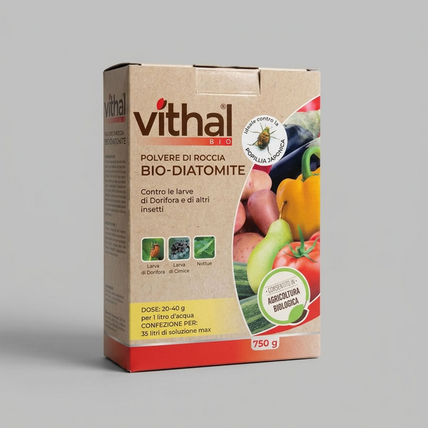 Bio-Diatomite Polvere di Roccia contro Dorifora e Insetti 750 g Vithal Bio