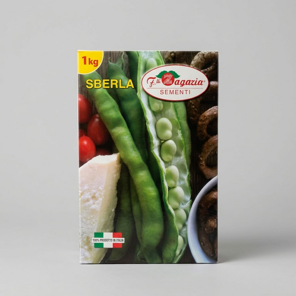 Semi di fava Sberla Supersimonia 1 kg F.lli Zagaria