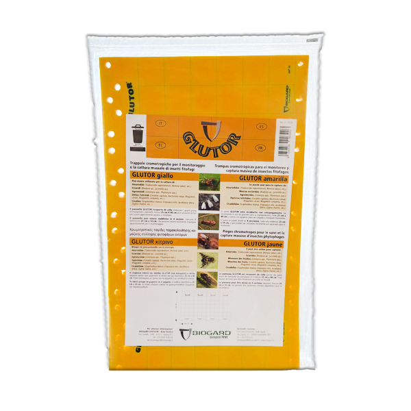Glutor Giallo  Trappola cromotropica per insetti fitofagi 20 Pz Biogar