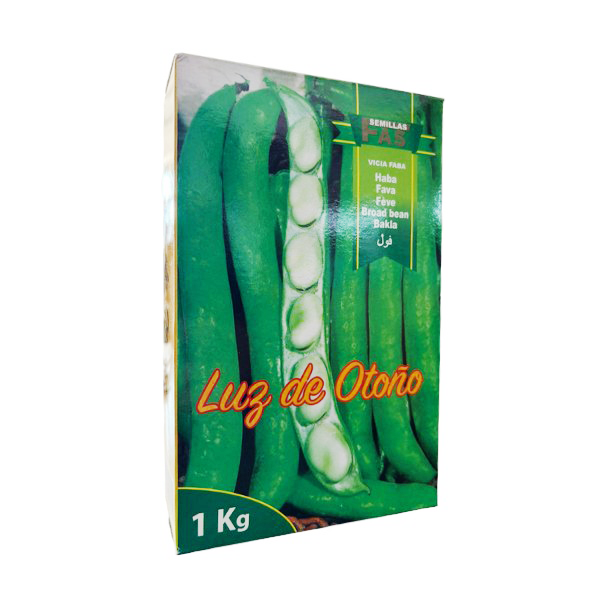 Semi di Fava Precoce Luz De Otono da 1 Kg Semillas Fas