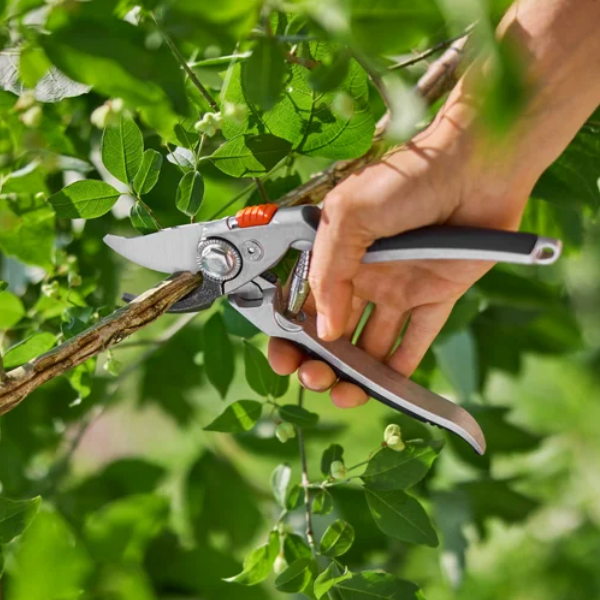 Forbici da potatura BP 50 Premium GARDENA