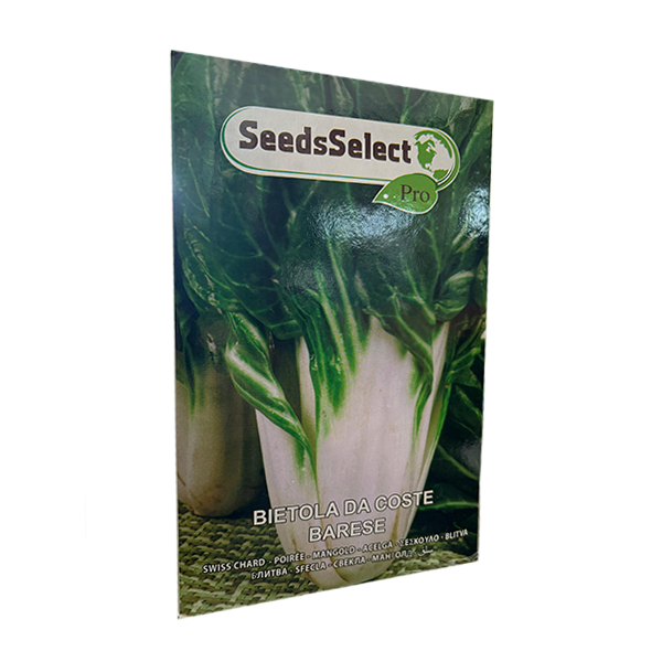 Semi Bietola Da Coste Barese 1 Kg SeedsSelect