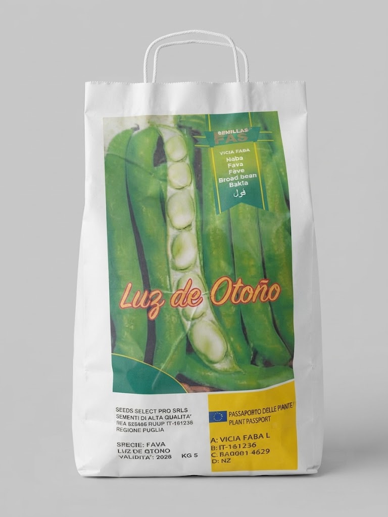 Semi di Fave Luz De Otono 5 kg Seedselect