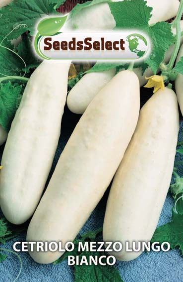 Cetriolo Mezzo Lungo Bianco