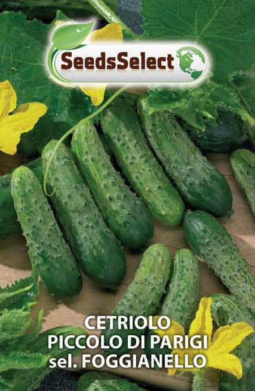 Cetriolo Piccolo di Parigi sel. Foggianello