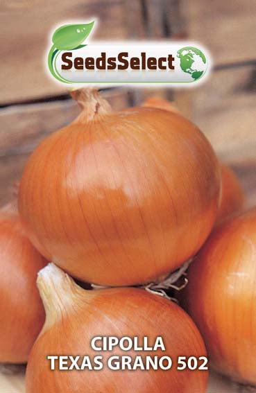 Cipolla Texas Grano 502