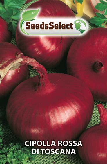 Cipolla Rossa di Toscana