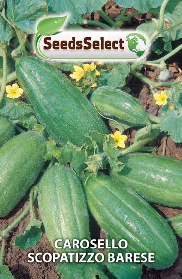 Carosello Scopatizzo Barese