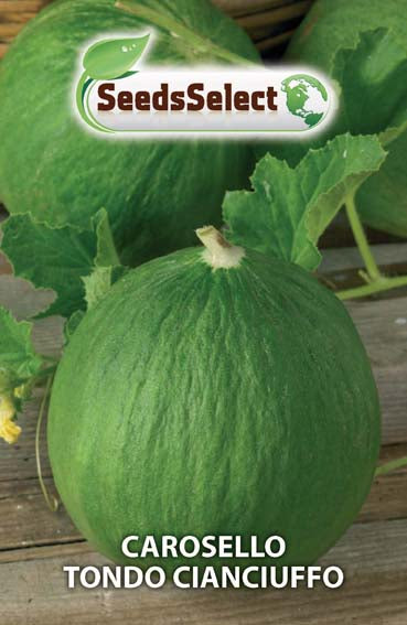 Carosello Tondo Cianciuffo