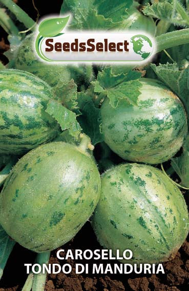 Carosello Tondo di Manduria
