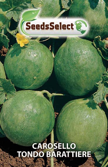 Carosello Tondo Barattiere