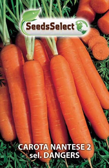 Carota Nantese 2 sel. Dangers