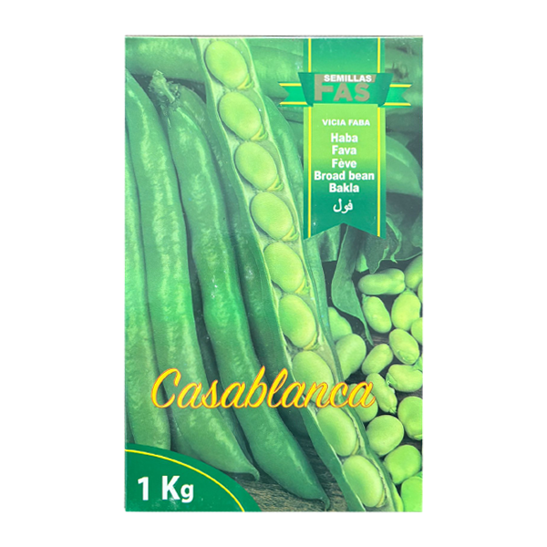 Semi di Fava Casablanca (Barese) 1 KG Semillas