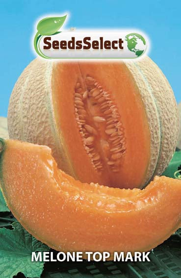 Melone Top Mark
