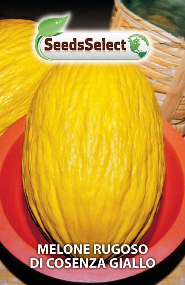 Melone rugoso di Cosenza giallo