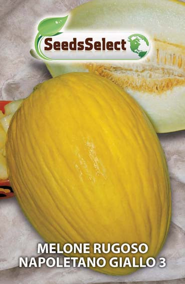 Melone rugoso napoletano giallo