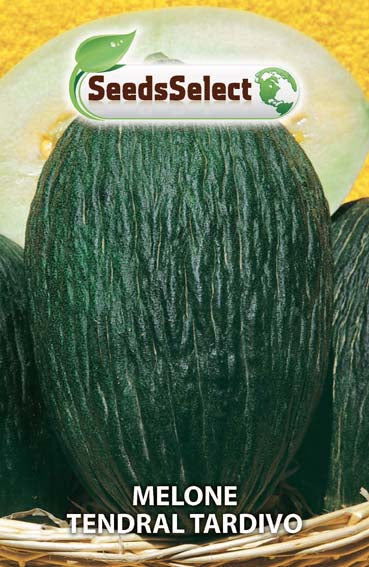 Melone Tendral tardivo