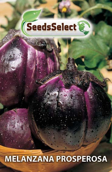 Melanzana prosperosa