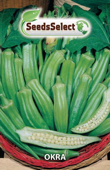 Okra