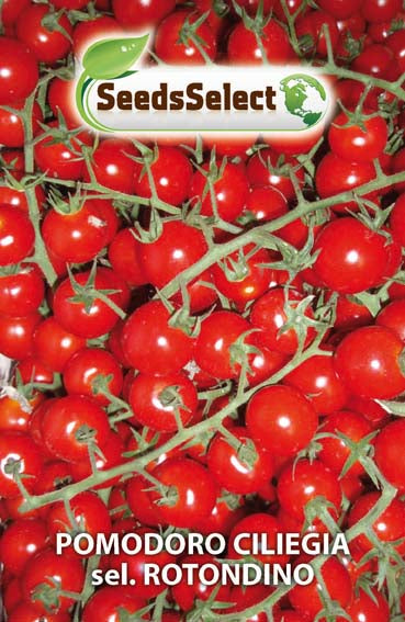 Pomodoro Ciliegia sel. Rotondino