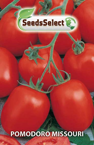 Pomodoro Missouri