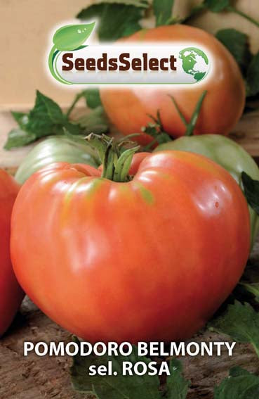 Pomodoro Belmonty sel. Rosa