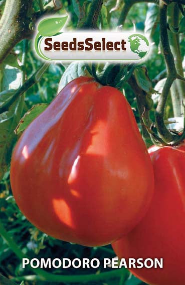 Pomodoro Pearson