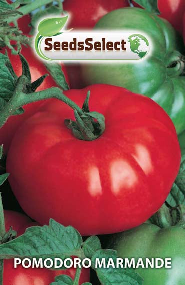 Pomodoro Marmande
