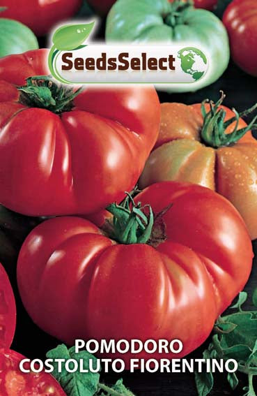 Pomodoro Costoluto Fiorentino