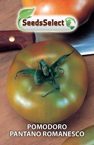 Pomodoro Pantano Romanesco