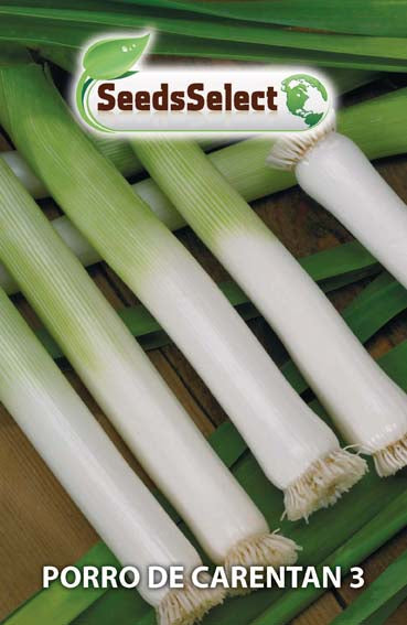 Porro De Carentan