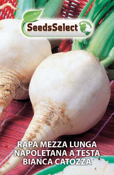 Rapa mezza lunga napoletana