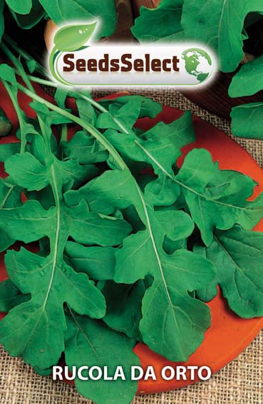 Rucola da Orto