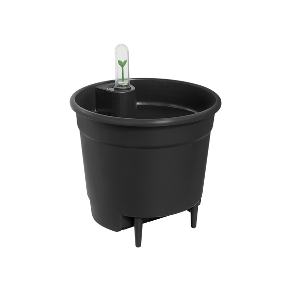 Inserto autoirrigante elho Living Black