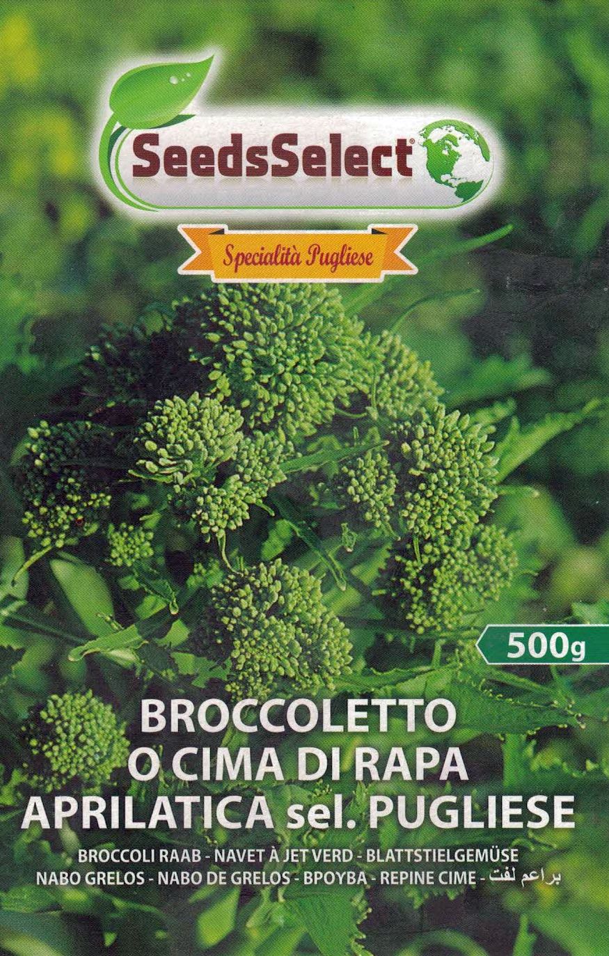 Broccoletto o cima di rapa Aprilatica sel. Pugliese