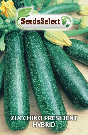 Zucchino President Hybrid