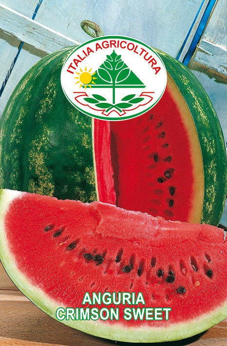 Semi Anguria Crimson Sweet