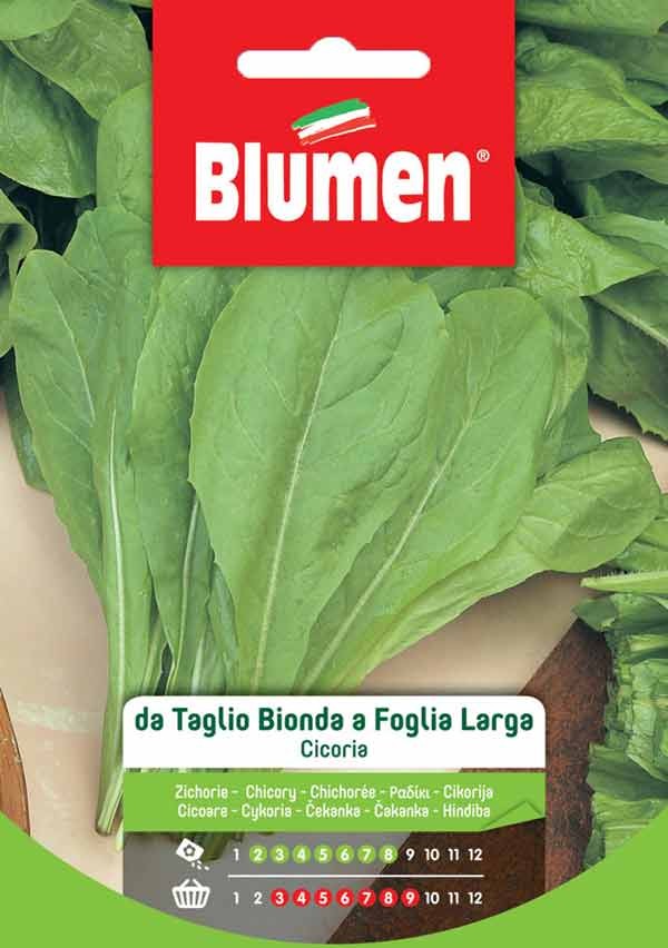 Blumen - Cicoria - Taglio - Bionda - Foglia - Larga - Busta