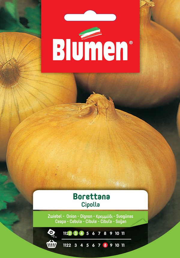 Semi Cipolla borettana Blumen