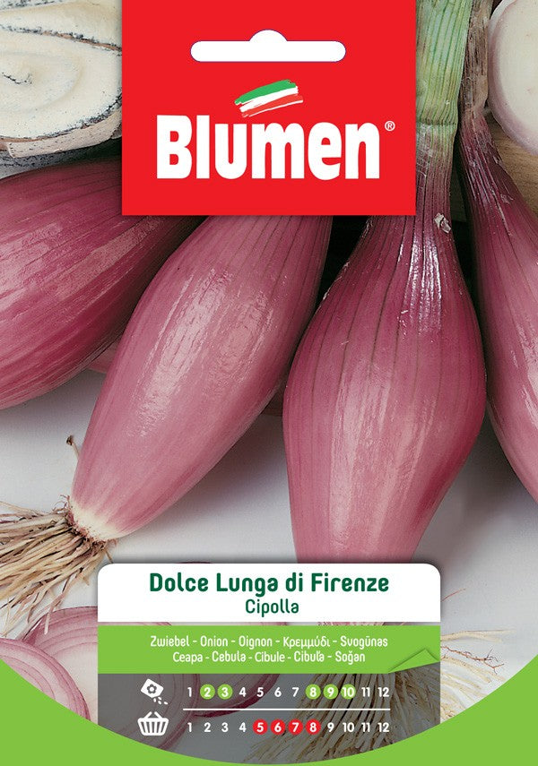 Semi Cipolla dolce lunga di Firenze Blumen