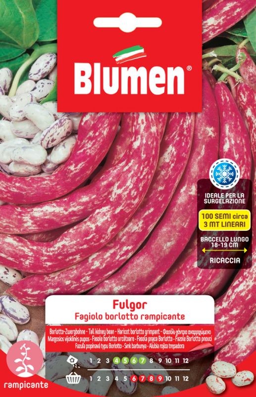 Blumen - Fagiolo - Borlotto - Rampicante - Fulgor - Busta