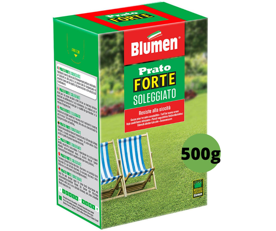 Blumen - Prato - Forte - Soleggiato - Resistente - 500 g