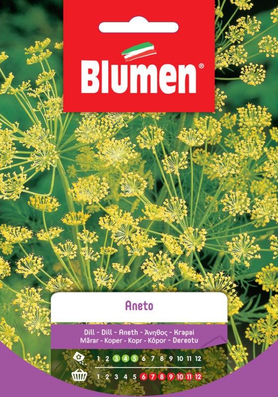 Semi Aneto Blumen