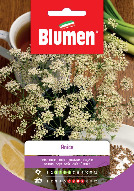 Semi Anice Blumen